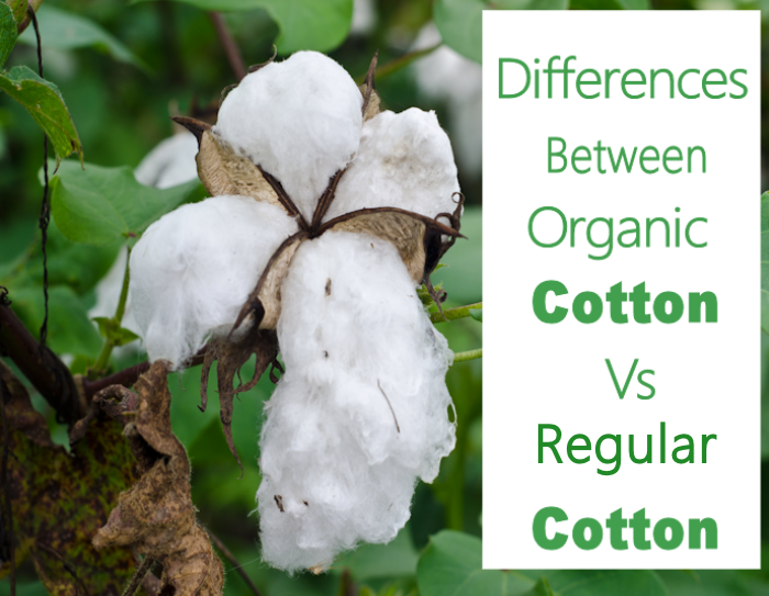 organic-cotton-versus-conventional-cotton-modern-consumers